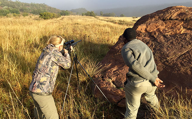 Biltong hunting resumes, but industry fears further losses