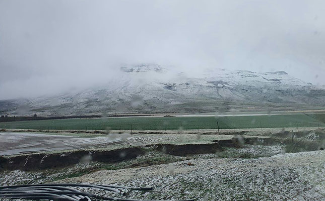 Snow and rain bring relief and challenges for farmers Snow and rain bring relief and challenges for farmers