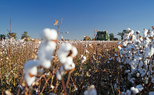 Edcon woes bring uncertainty for local cotton procurement Edcon woes bring uncertainty for local cotton procurement