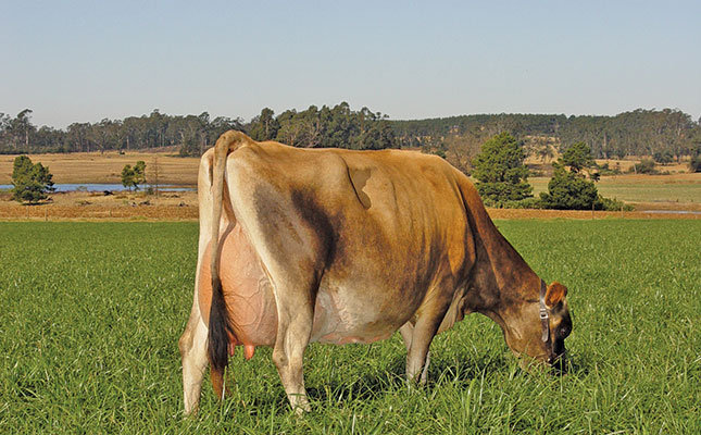 Breeding for optimal efficiency yields greener dairy herds