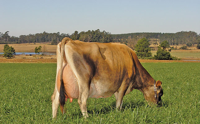 Breeding for optimal efficiency yields greener dairy herds Breeding for optimal efficiency yields greener dairy herds