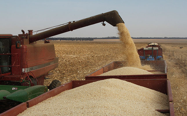 SA’s new maize export season off to a good start