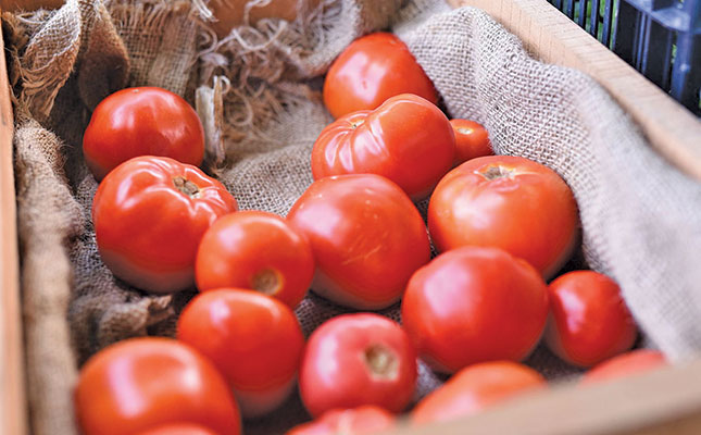 Preparing a good seedbed for tomatoes