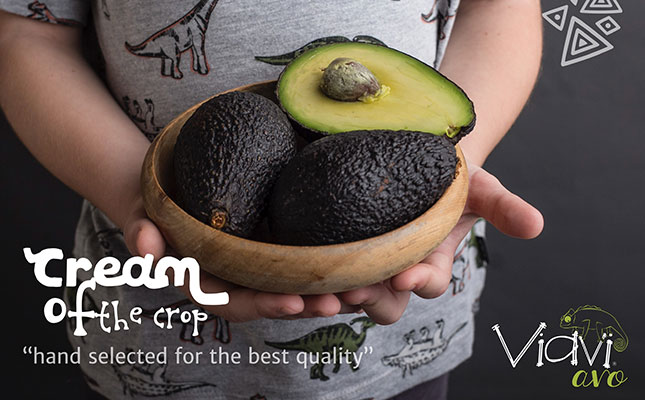 Win two Viavi Avocado hampers worth R2 500 each!