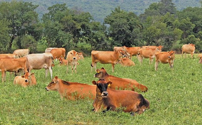 ‘Never give up on your farming dreams’ – SA’s top dairy producer