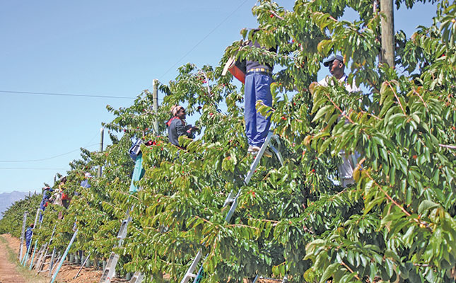 Farming jobs remain steady amid dismal employment figures