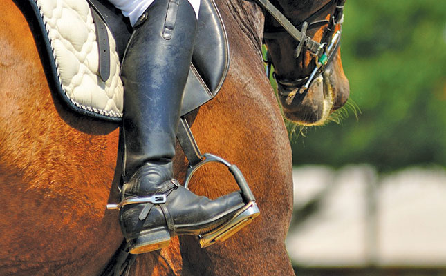 Using treats to train horses Using treats to train horses