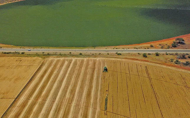 Record global harvests predicted for maize and wheat Record global harvests predicted for maize and wheat