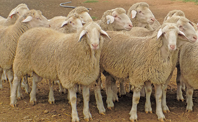 RPO clarifies its change of view on live sheep exports RPO clarifies its change of view on live sheep exports