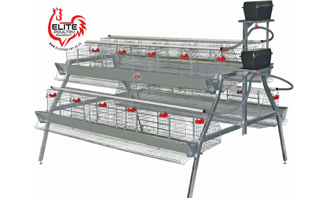 Win a layer cage worth R13 800! Win a layer cage worth R13 800!