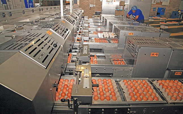 Building a mega business through egg production