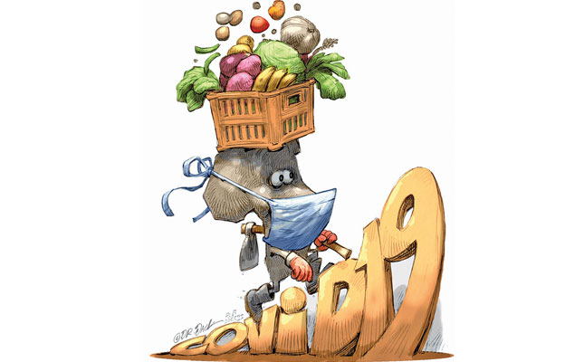 What COVID-19 has taught us about food security What COVID-19 has taught us about food security