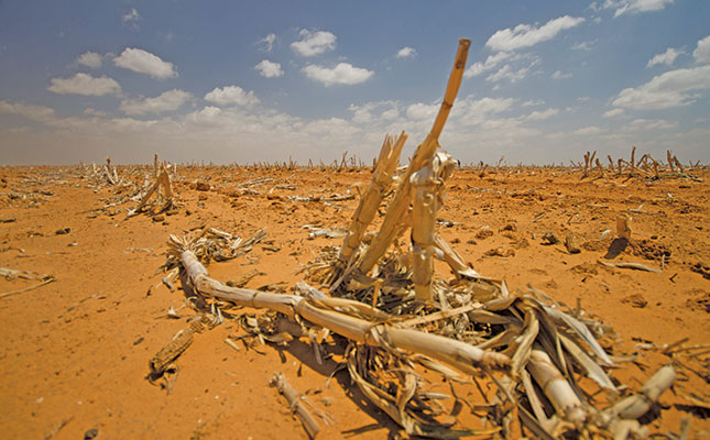 Rebuilding a livestock enterprise after a drought