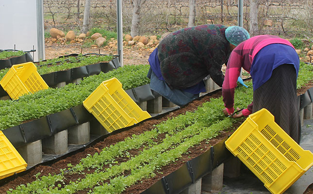 Women in agriculture still face ‘outdated’ perceptions
