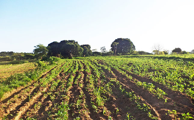 Africa is falling further behind Africa is falling further behind
