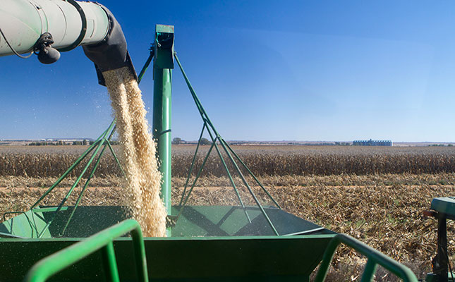 Record production puts pressure on global grain prices