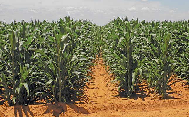 Know your armyworm species Know your armyworm species