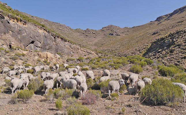 Tackling crime along the South Africa-Lesotho border