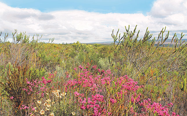 Land-use change drives drastic biodiversity decline – report Land-use change drives drastic biodiversity decline – report