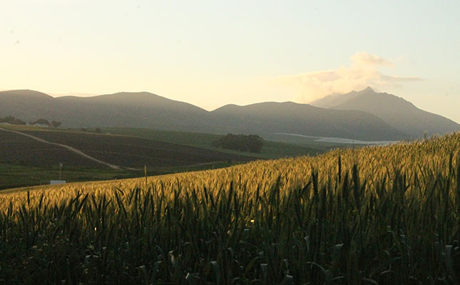 More ‘extreme’ weather expected for SA before summer More ‘extreme’ weather expected for SA before summer