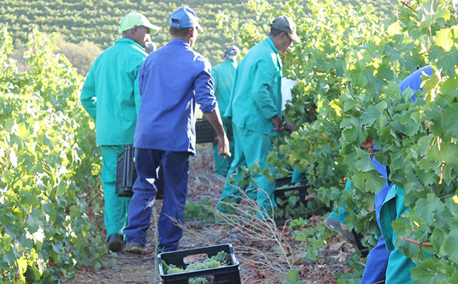 Agriculture sheds 66 000 jobs in the second quarter