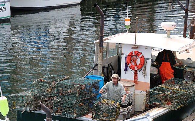 ‘Mini EU trade deal’ brings relief for US lobster exporters