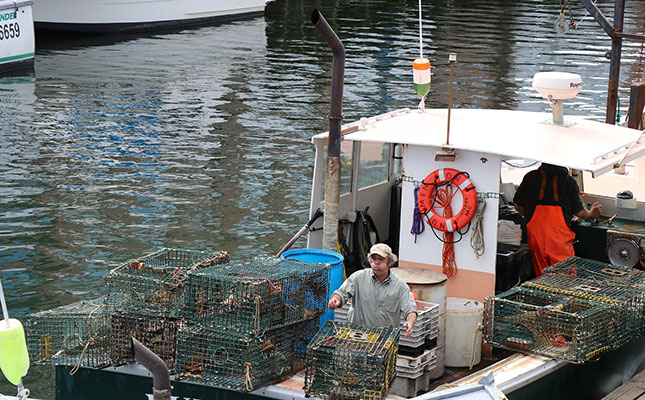 ‘Mini EU trade deal’ brings relief for US lobster exporters ‘Mini EU trade deal’ brings relief for US lobster exporters