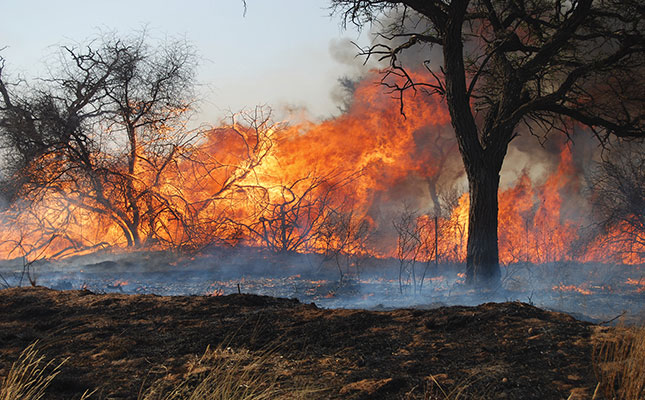 R30 million in grazing lost to wildfires in Namibia R30 million in grazing lost to wildfires in Namibia