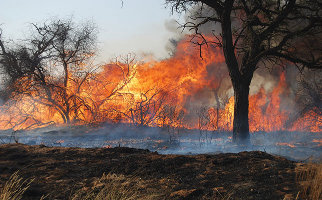 R30 million in grazing lost to wildfires in Namibia