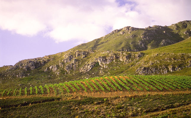 WWF partnership to support SA wines’ ‘green’ credibility WWF partnership to support SA wines’ ‘green’ credibility