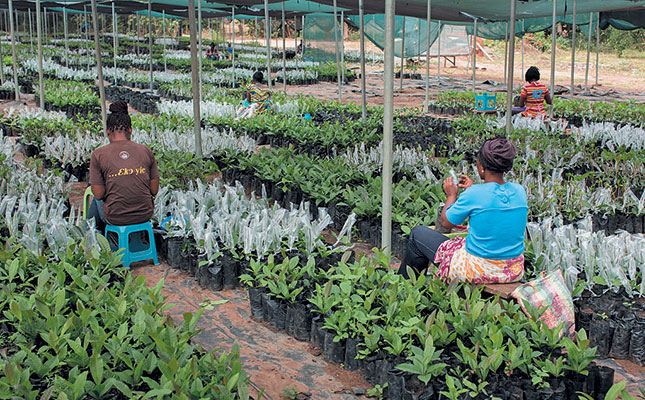 A reflection on ‘women’s month’ A reflection on ‘women’s month’