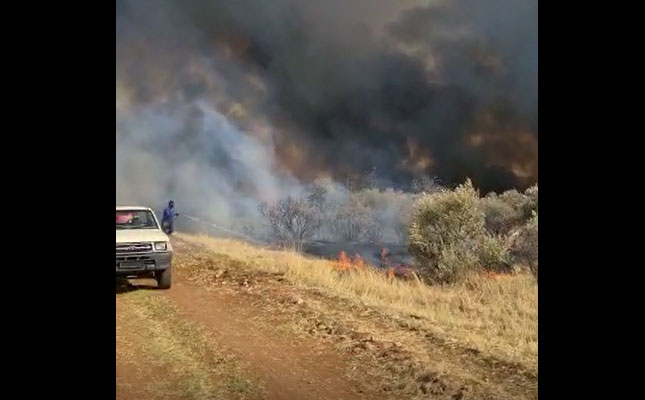Thousands of hectares destroyed by Free State wildfires