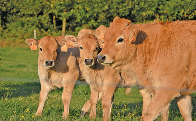 The importance of having a breeding season The importance of having a breeding season