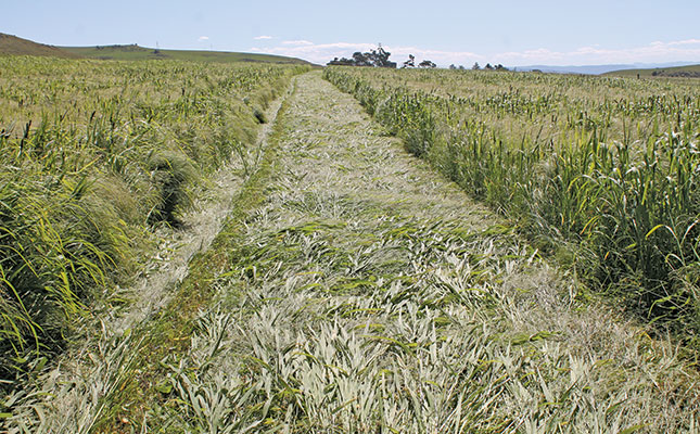 Proper planning: the key ingredient for quality stored fodder