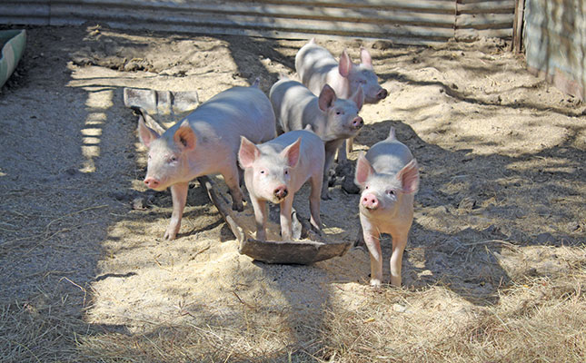 How a single social media post launched a farmfresh meat business How a single social media post launched a farmfresh meat business