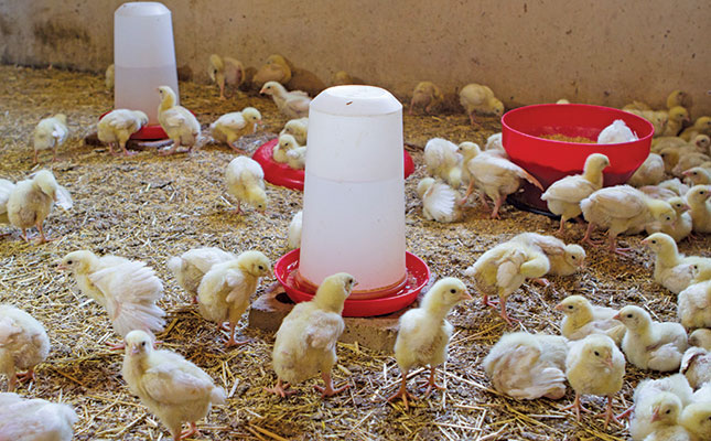 Poultry litter to biogas: adding more value to farm waste