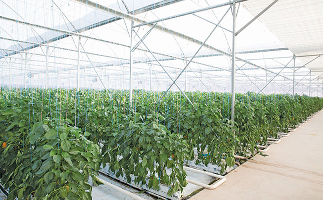 Irrigation systems for undercover cropping