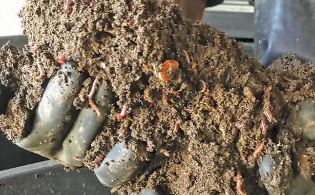Self-taught worm farmer recycles waste into compost