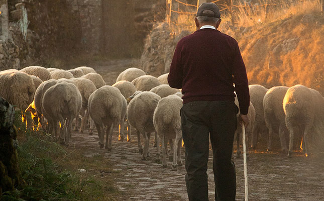 Concern over ageing farmer population in Europe