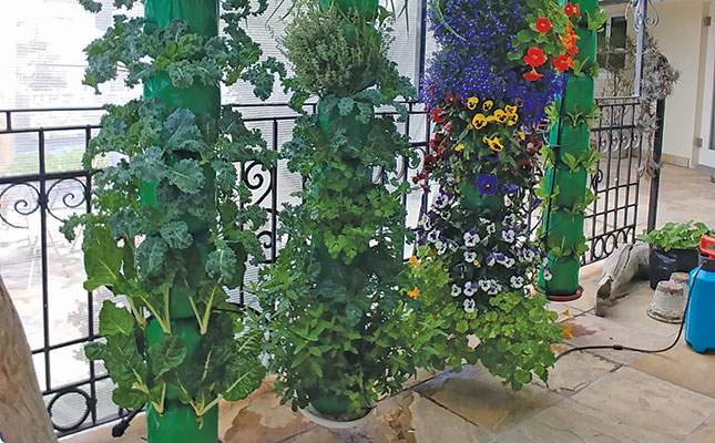 How to grow healthy food vertically in a small space