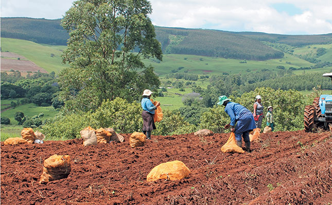 Equipping women farmers for long-term success