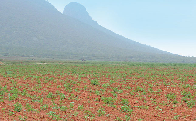 Nature-friendly farming reduces costs for potato farmer