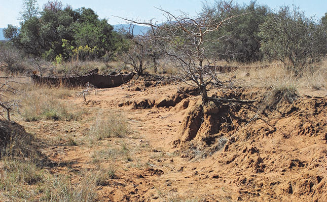 SA soils ‘extremely degraded’ by unsustainable farming