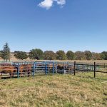 he farm has 20 grazing camps that vary in size, but are about 56ha on average. Each has at least one dedicated watering point.