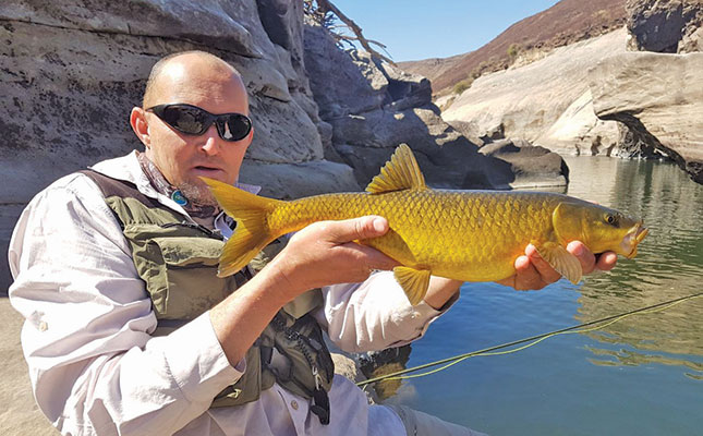 The allure of Barkly East's famous fly-fishing streams