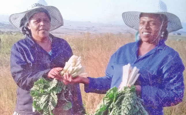 Land beneficiaries’ 20-year struggle for government help