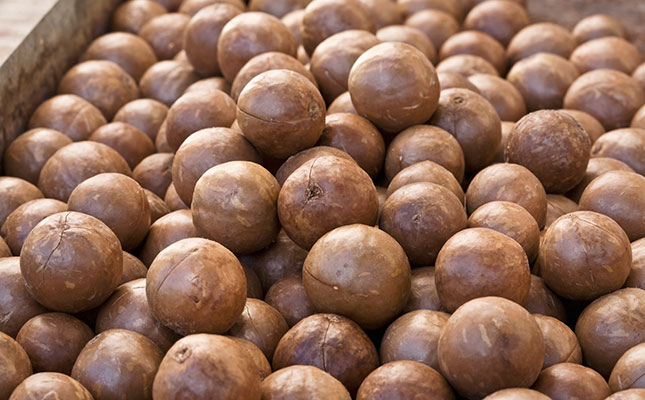 Nut markets take a tumble