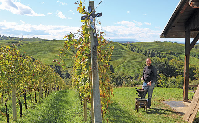 Why a Cape winemaker bought a vineyard in Slovenia