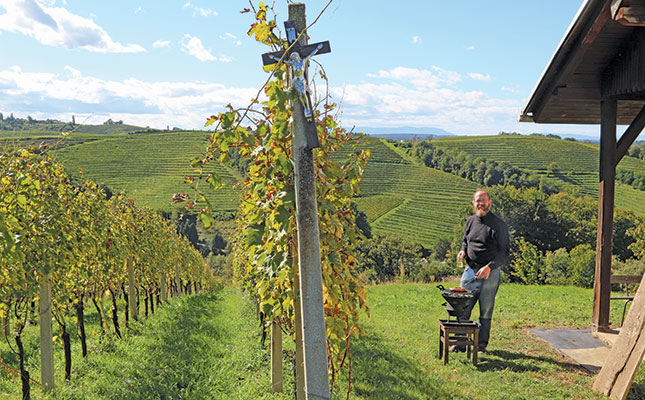 Why a Cape winemaker bought a vineyard in Slovenia Why a Cape winemaker bought a vineyard in Slovenia