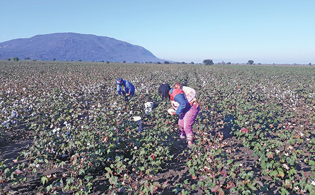 Varied tech solutions required for small-scale farming